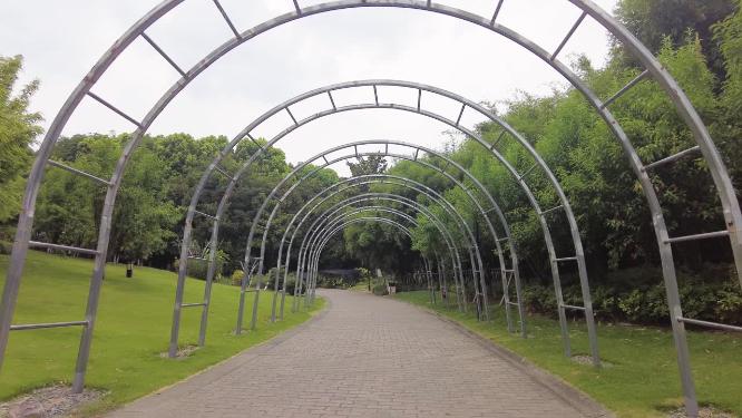 公园树林植物安静的小路运镜空镜头