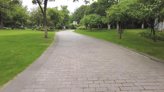 公园树林植物安静的小道路运镜空镜头