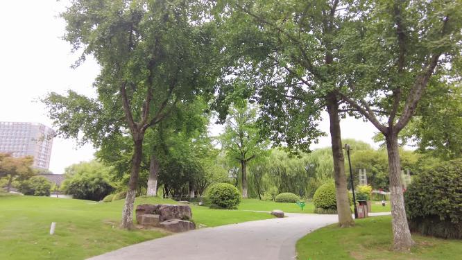 公园树林植物小道路唯美运镜空镜头