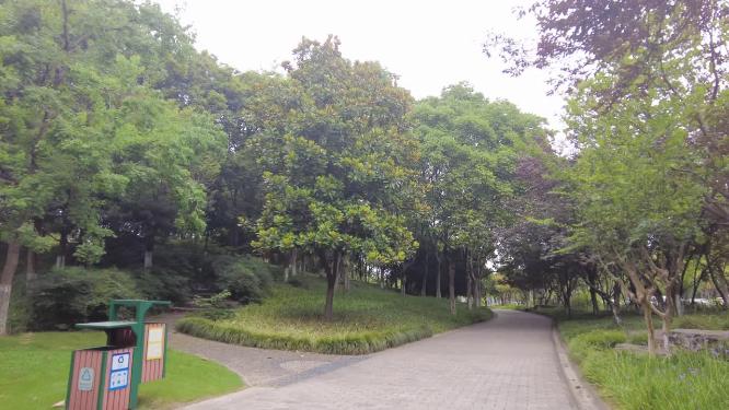 公园树林运镜唯美空镜头