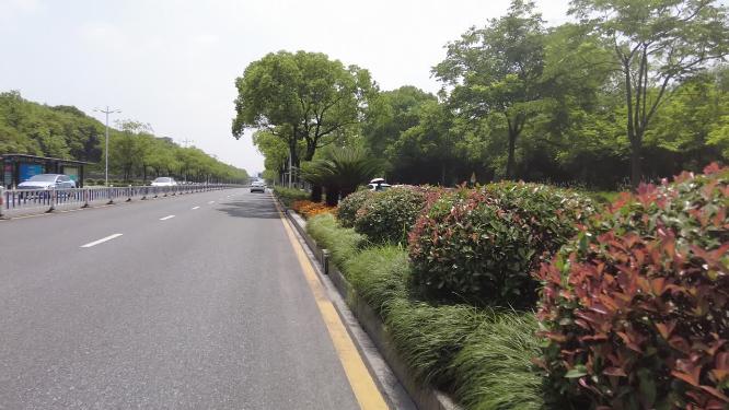 城市道路空镜头