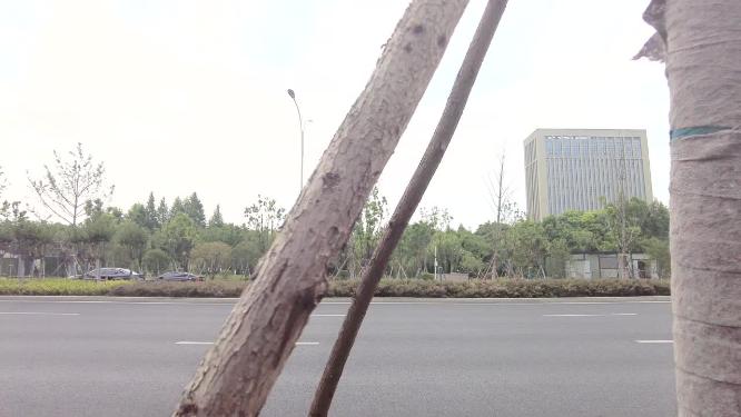 城市马路公路风景景色美景空镜头