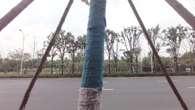 城市马路行驶的汽车车辆车流