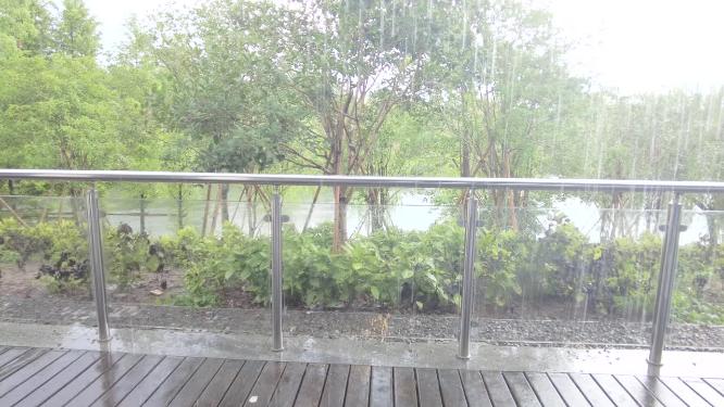 夏天树林下暴雨雨水雨滴视频素材空镜头