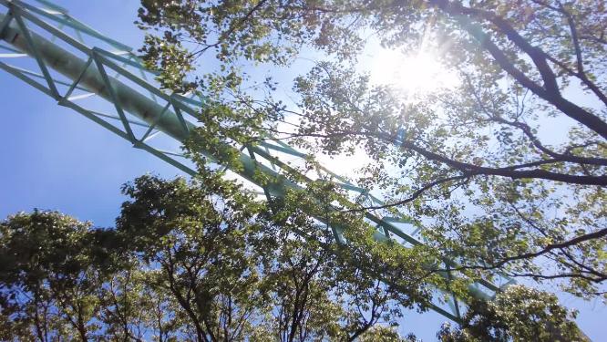 夏天阳光穿过树林树枝叶子特写视频素材