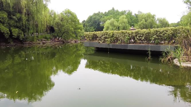 湖水倒影和水面的水草