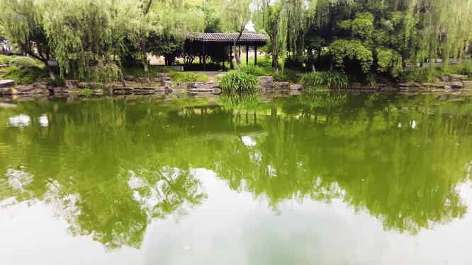 湖水的倒影和水面波纹