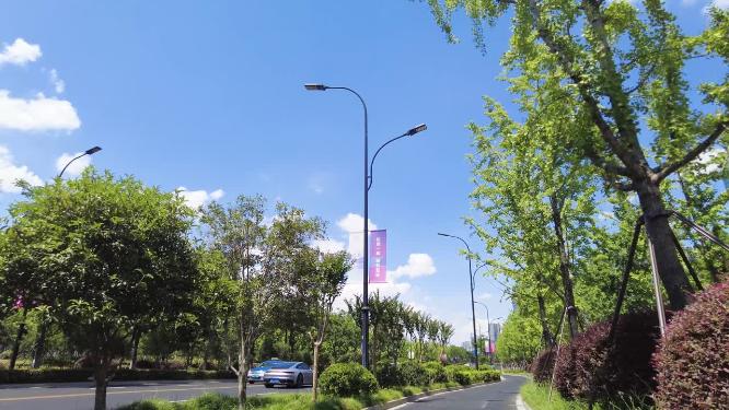 马路运镜风景特写