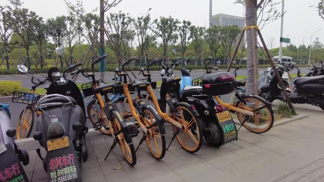 马路随意停放的电动车和共享单车