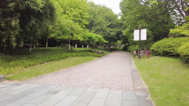 唯美城市公园森林小道路空镜头