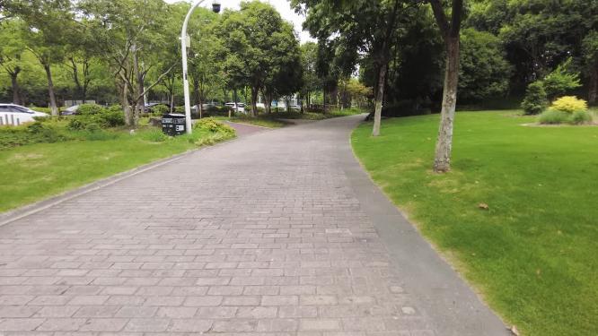 公园树林草木小道路运镜空镜头