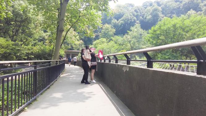 动物园围栏围墙游客拍照