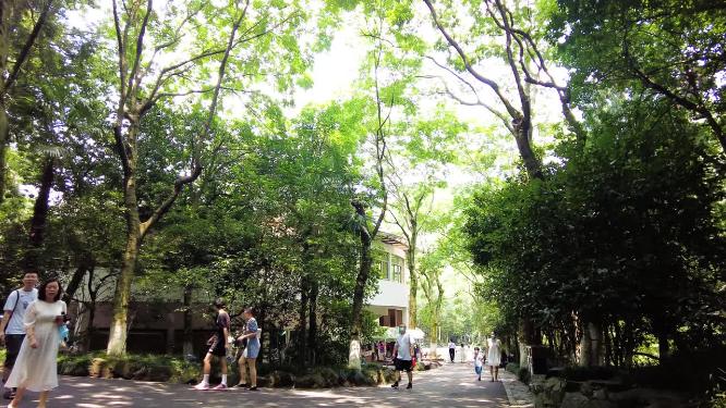 动物园树林游客和行人