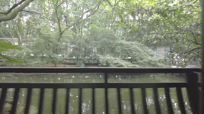 动物园游客游览庭院