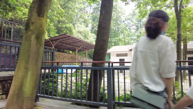 动物园游玩的游客