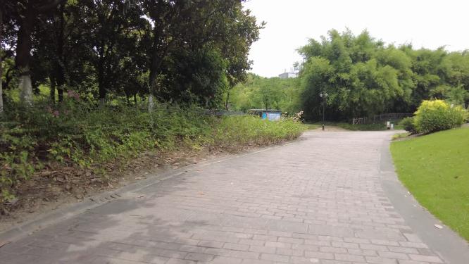 唯美公园小道运镜空镜头