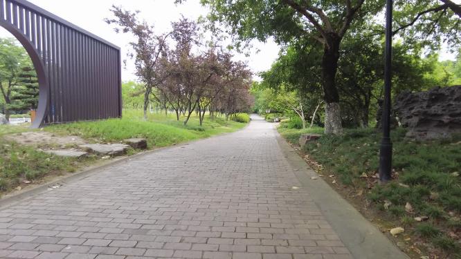 唯美城市公园林间小路运镜空镜头