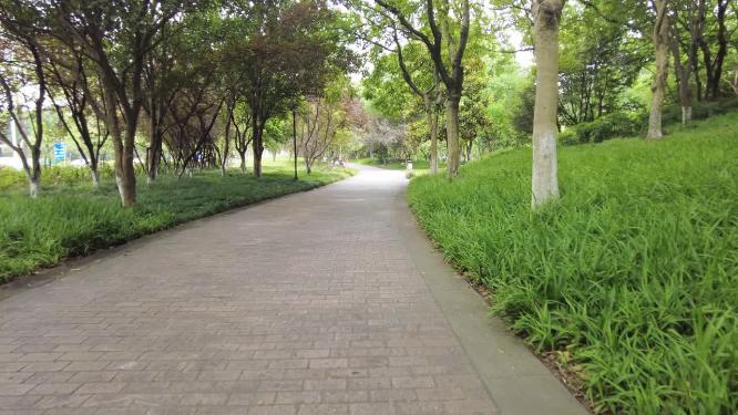 唯美城市公园树林小道路运镜空镜头