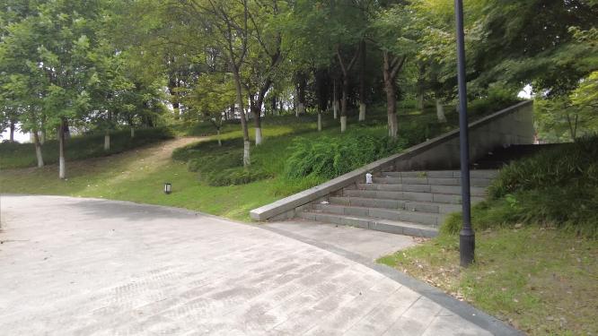 唯美的安静公园树林小道路特写空镜头