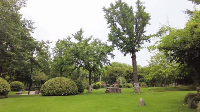 城市公园环境优美运镜空镜头