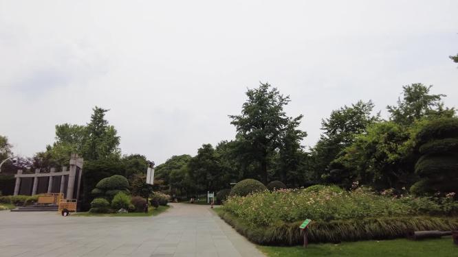 城市公园环境唯美运镜空镜头