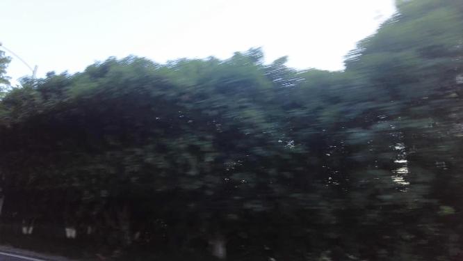 夕阳西下黄昏时分汽车窗外风景