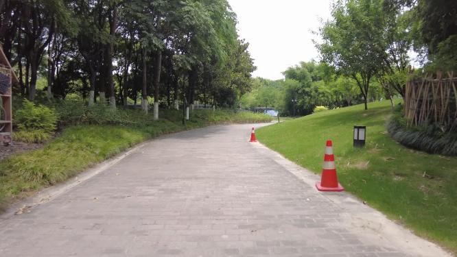 田园公园安静小道运镜空镜头