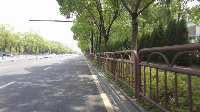 疫情恢复期间的道路交通