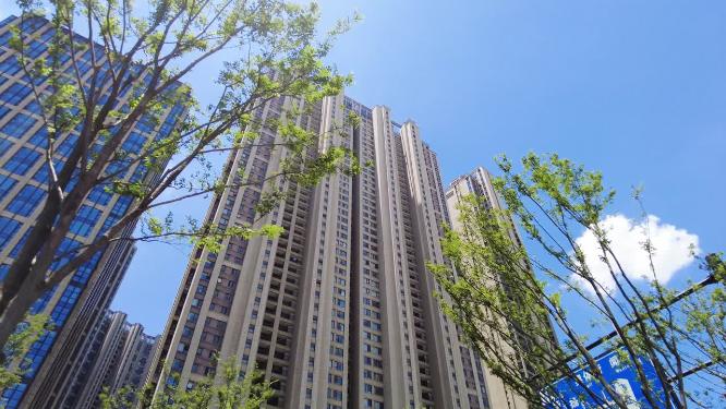 透过树枝仰视高楼大厦特写