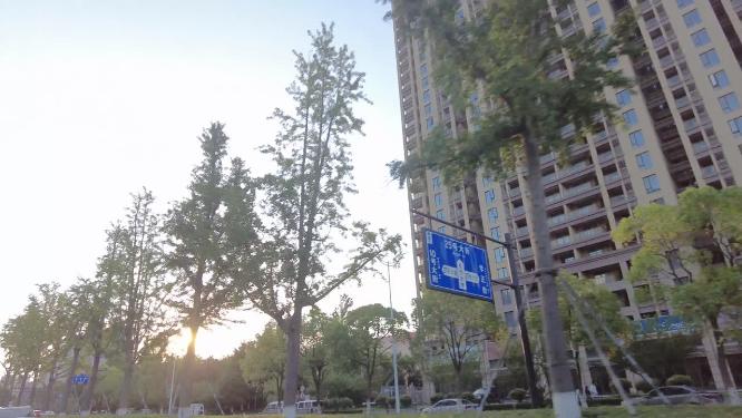 夕阳西下阳光穿过树林开车第一视角