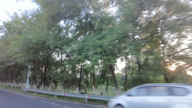 夕阳阳光穿过树林汽车窗外风景