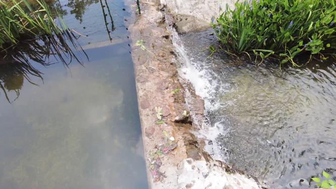 小溪水小水沟