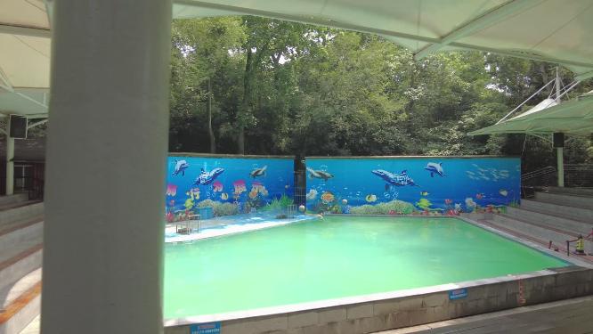 杭州动物园海狮池