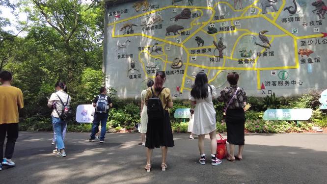 杭州动物园游客参观游玩