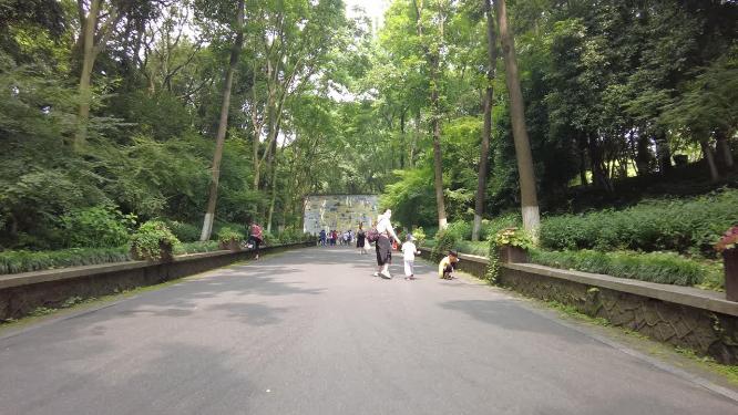 杭州动物园游客游玩