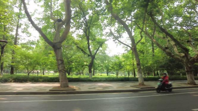 西湖风景景区开车第一视角
