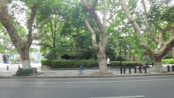 西湖风景景区汽车窗外的风景