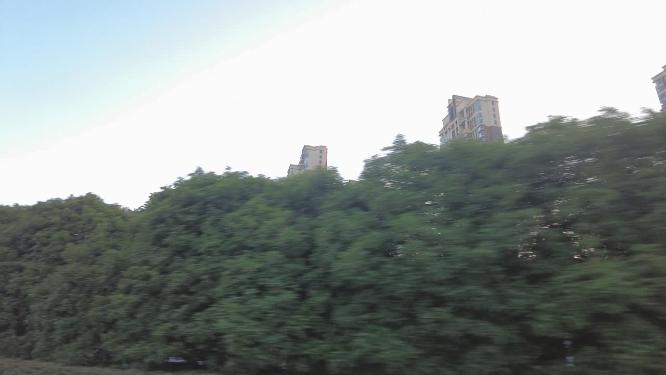 郊区开车窗外的风景