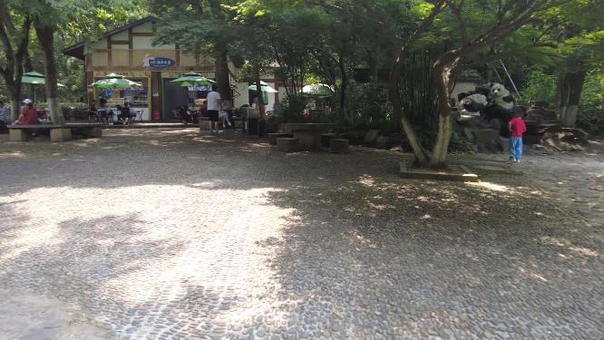风景景区休息的游客