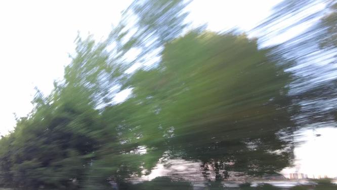 驾驶自驾旅行车窗外飞速后退的植物