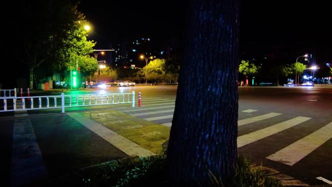 城市马路夜景车流人流延时视频素材