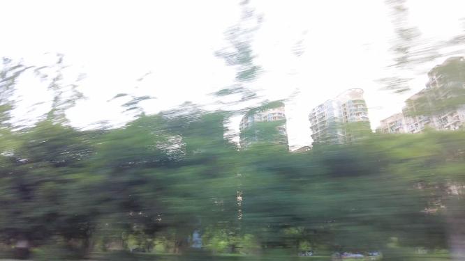 城市郊外开车窗外的树林