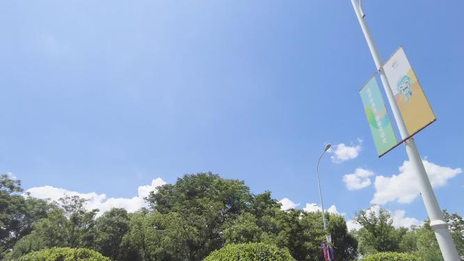城市马路风景蓝天白云树枝叶