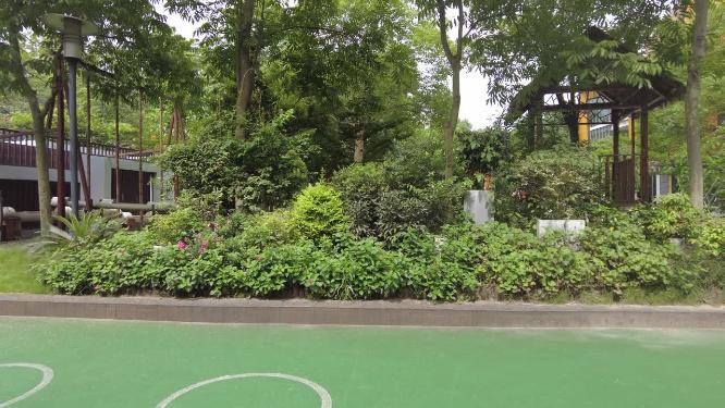 幼儿园环境景色风景