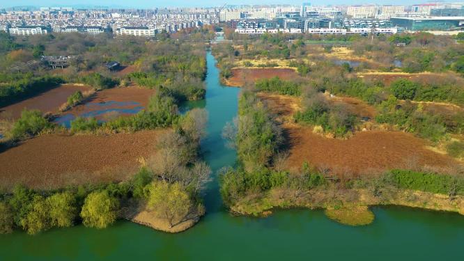 杭州西湖区西溪湿地自然风景视频素材