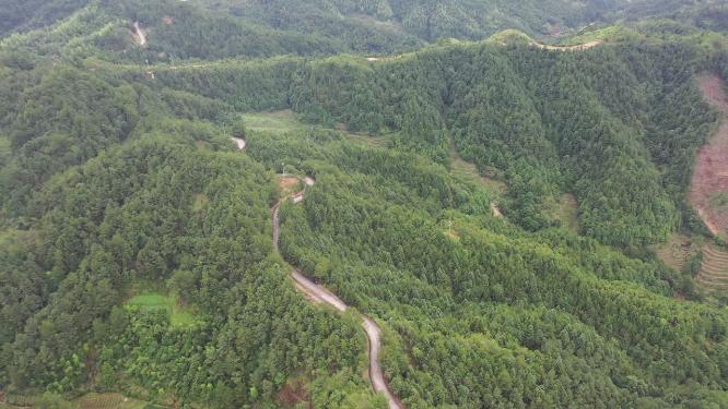 福建省 泉州市 德化县 春美乡 十八格盘山公路 山路 公路