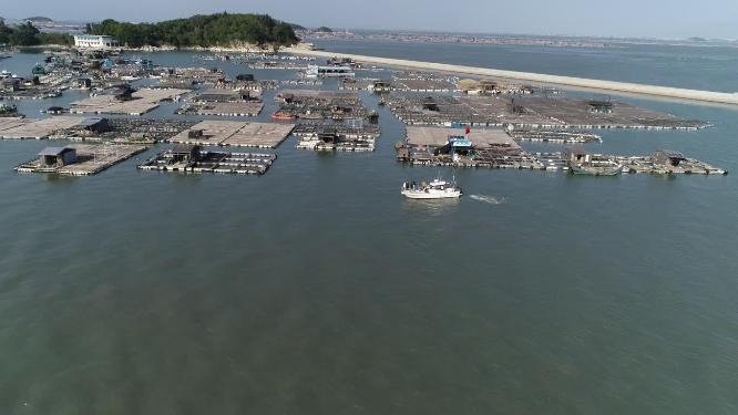 福建省 漳州市 东山岛 马銮湾 渔船 港口 船只