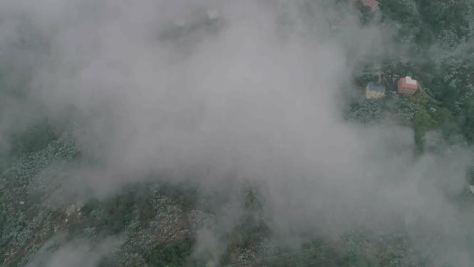 九华山 云海 航拍
