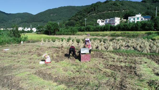 福建省 莆田市 城厢区 常太镇 岭下村 美丽乡村 航拍