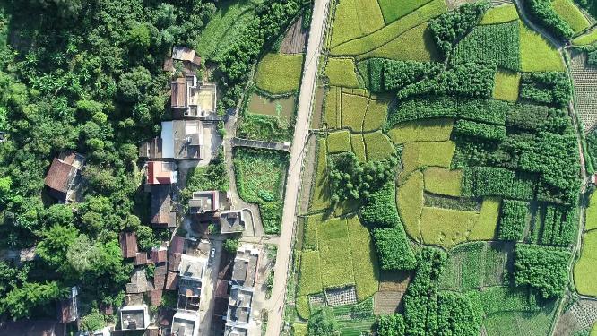 福建省 莆田市 城厢区 常太镇 岭下村 美丽乡村 航拍